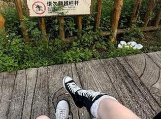 很多花样在等你呢，“五一吃瓜”官网网页版，传送门一开，果然乐趣多多。