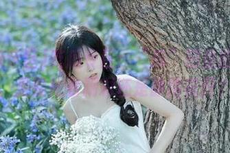 吃瓜专区：“瓜”田里的线路，是要抢着涮彩还是静待花开？