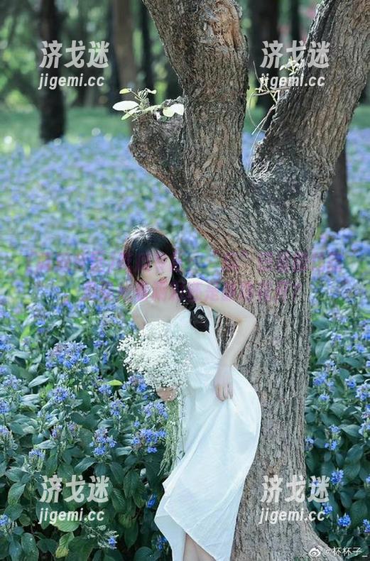 吃瓜专区 吃瓜专区:“瓜”田里的线路,是要抢着涮彩还是静待花开?