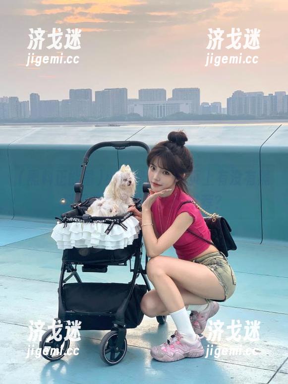 小伙伴们，网页上有没有黑料正能量之外的乐趣推荐？
